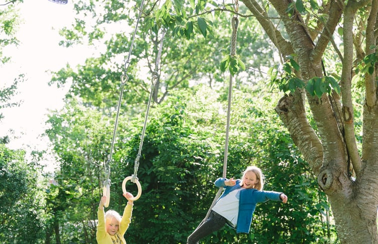 Natuurhuisje in Hemelum