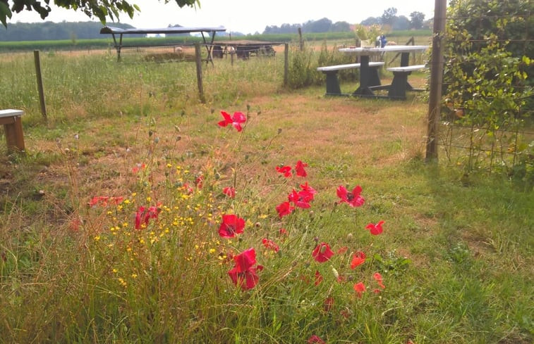 Natuurhuisje in Onstwedde