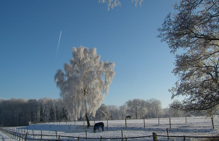 Natuurhuisje in Haaksbergen