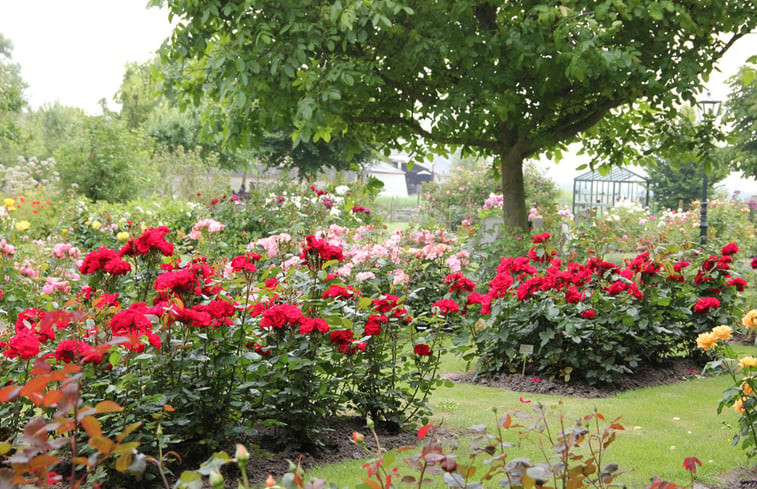 Natuurhuisje in Zoutelande