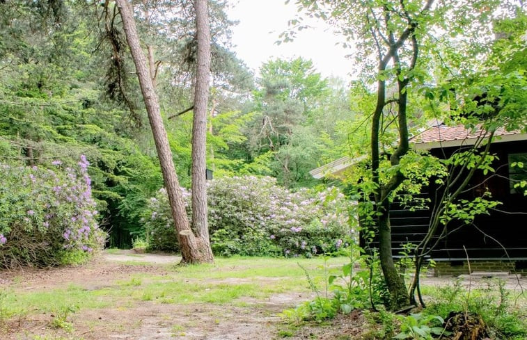 Natuurhuisje in Lonneker