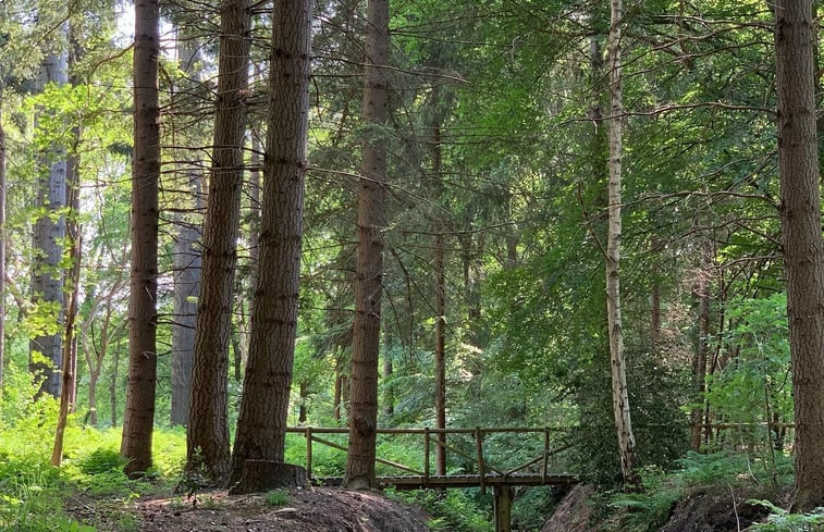 Natuurhuisje in Frederiksoord