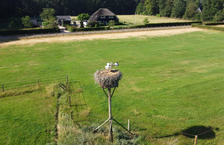 Natuurhuisje in Wiesel / Vaassen / Veluwe