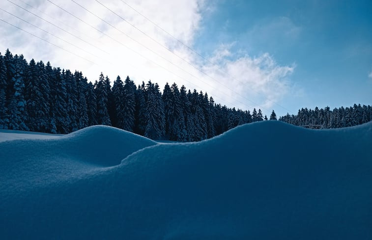 Natuurhuisje in St.Georgen