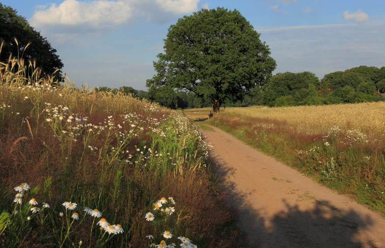 Natuurhuisje in Hezingen