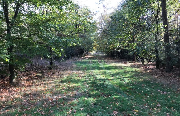 Natuurhuisje in Baarle-Nassau