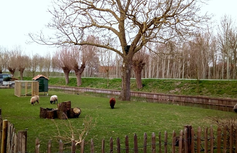 Natuurhuisje in Bodegraven