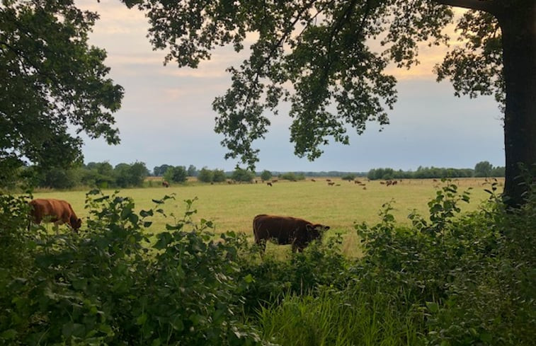 Natuurhuisje in Lattrop