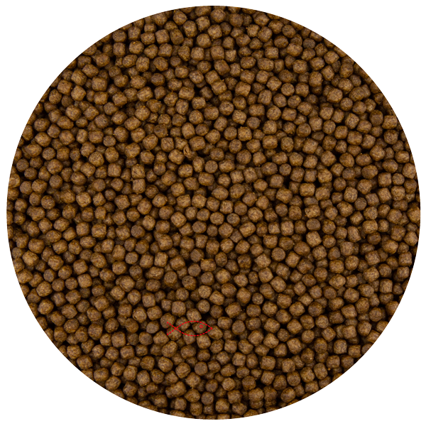 Pond Pro Koi Voeding Pellets 3mm 15kg - Voor Groei en Vitaliteit van Vijvervissen