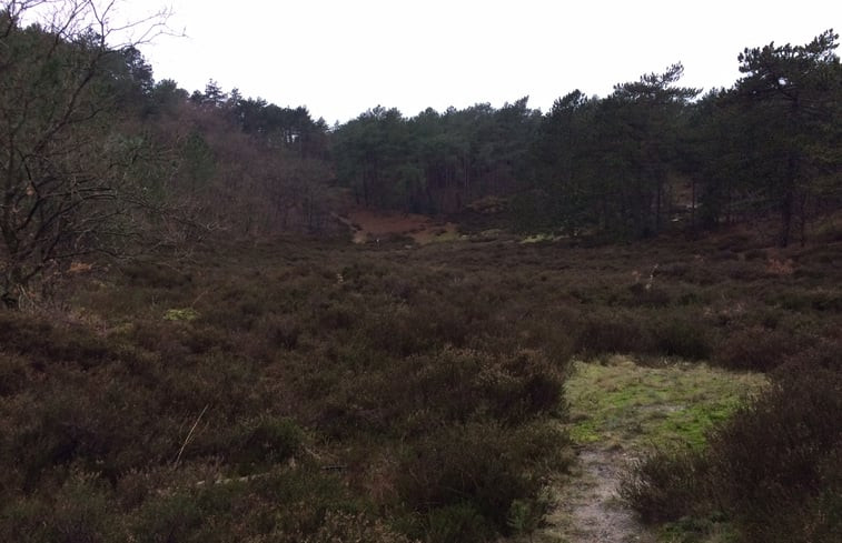 Natuurhuisje in Schoorl