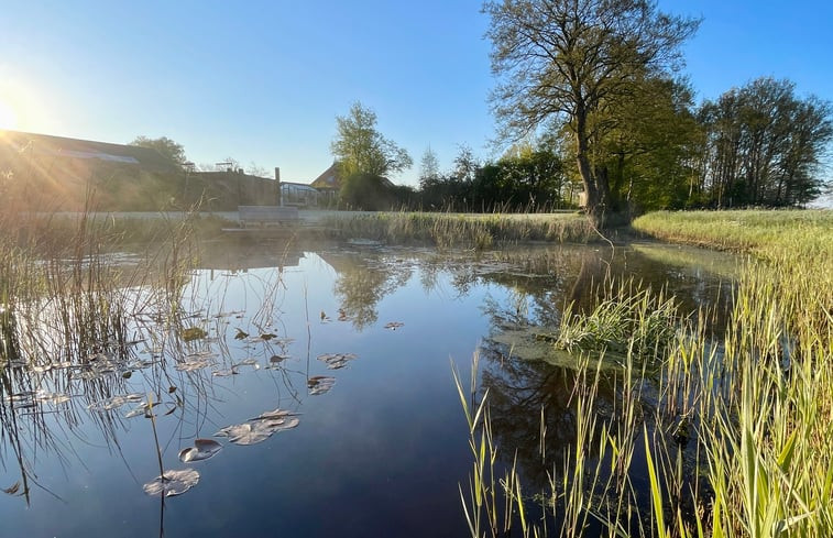 Natuurhuisje in Rotstergaast