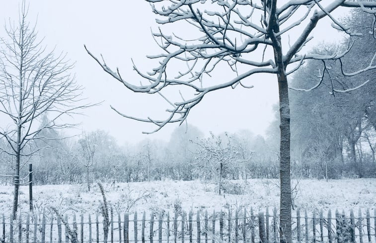 Natuurhuisje in Haaren