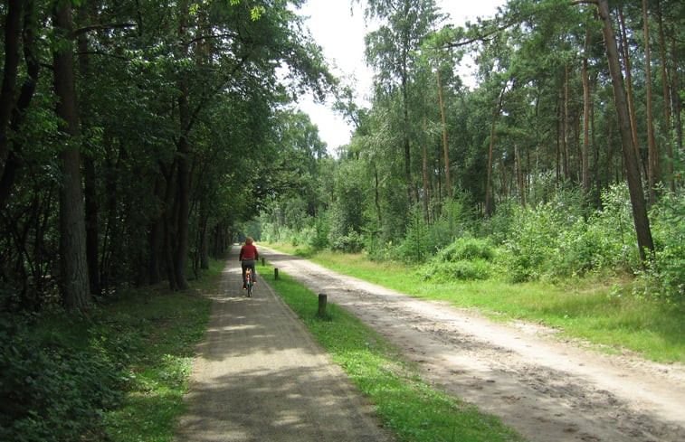 Natuurhuisje in Epe Veluwe