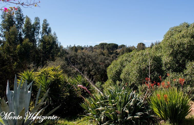 Natuurhuisje in Santiago do Cacém