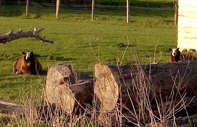 Natuurhuisje in Middelkerke