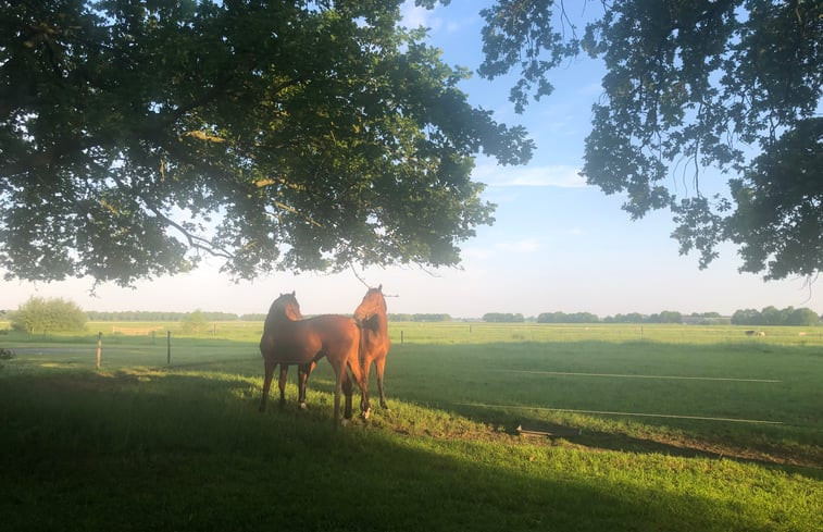 Natuurhuisje in Ellertshaar