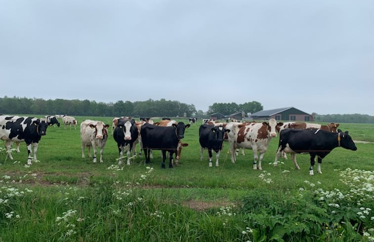 Natuurhuisje in Reutum