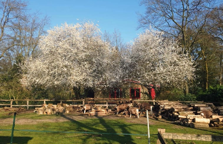 Natuurhuisje in Otterlo