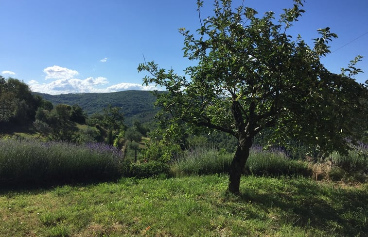 Natuurhuisje in FIRENZE, MUGELLO, VAGLIA (Sitriano)