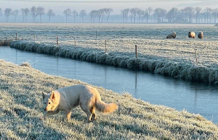 Natuurhuisje in Zuidoostbeemster