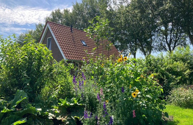 Natuurhuisje in Exloërveen