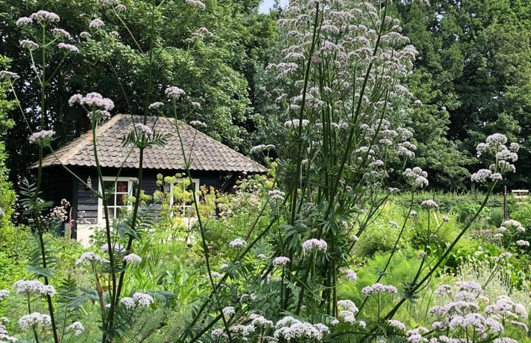 Natuurhuisje in Loon op Zand