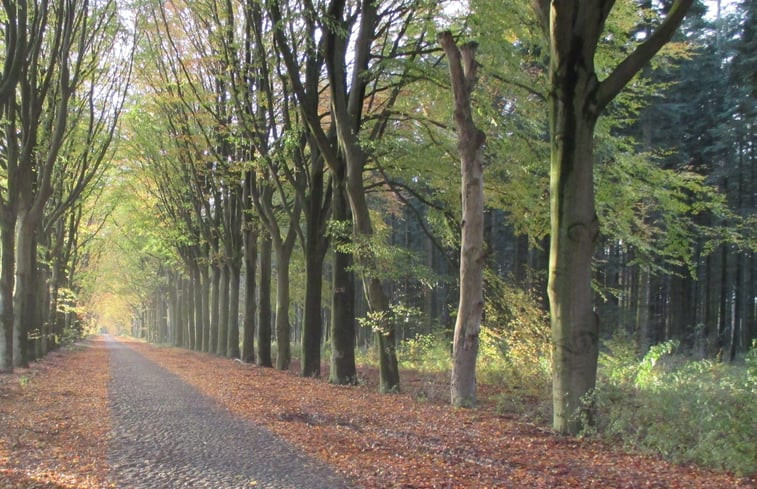 Natuurhuisje in Drouwen