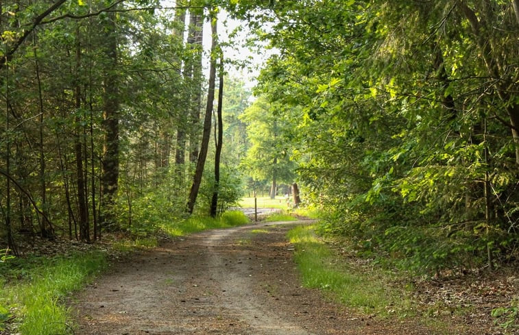 Natuurhuisje in Ambt Delden