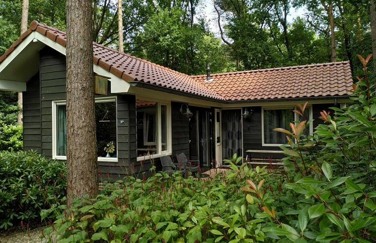 Natuurhuisje in Lochem