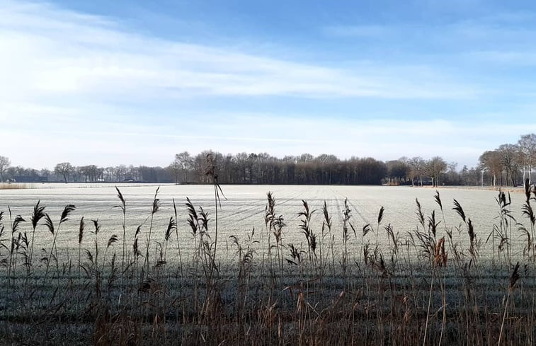 Natuurhuisje in Koekange