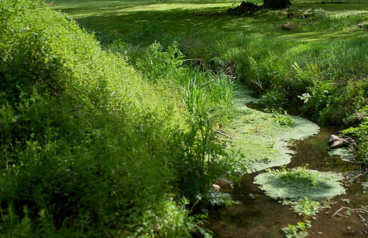 Natuurhuisje in Noyal-Muzillac