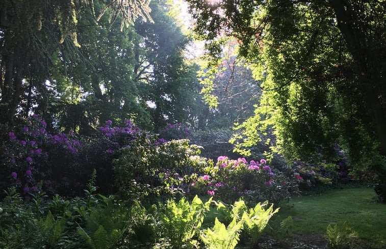 Natuurhuisje in Goch-Pfalzdorf