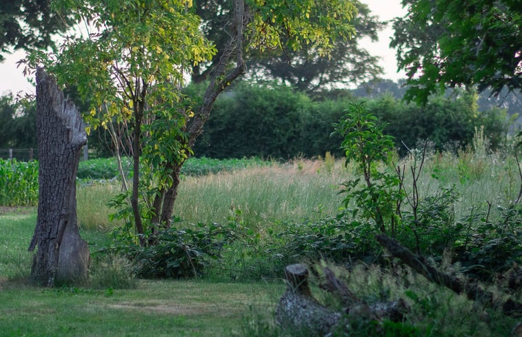 Natuurhuisje in Megchelen