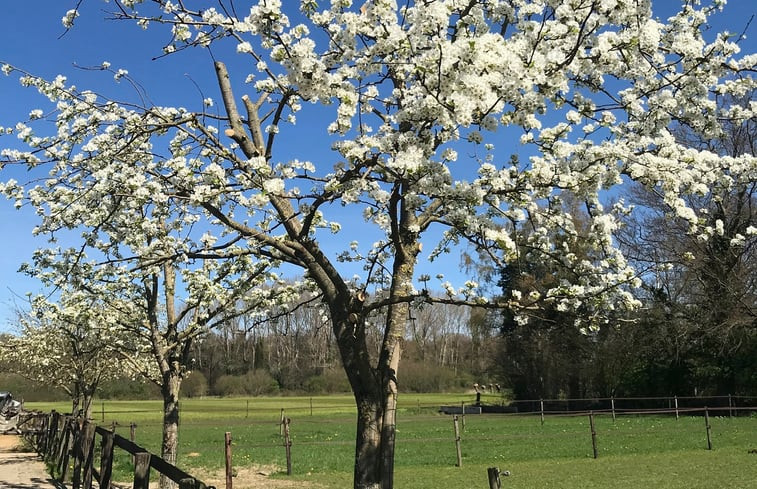 Natuurhuisje in Vorden