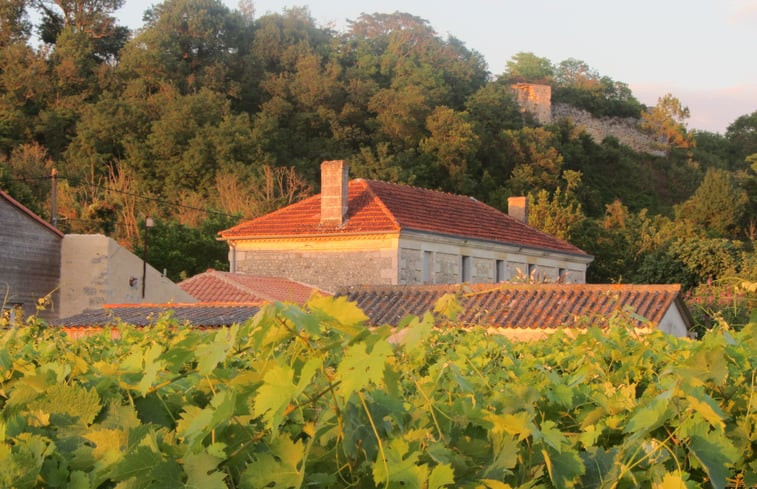 Natuurhuisje in SAINT THOMAS DE CONAC