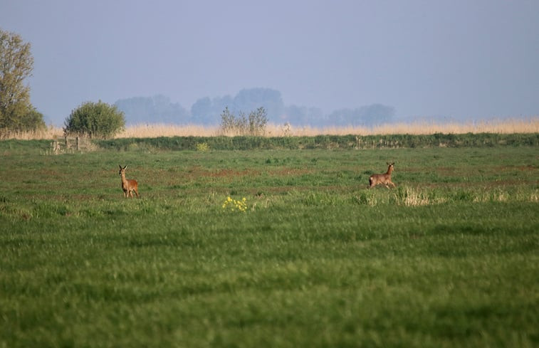 Natuurhuisje in Sloten