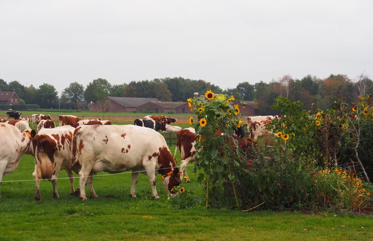 Natuurhuisje in Deurne