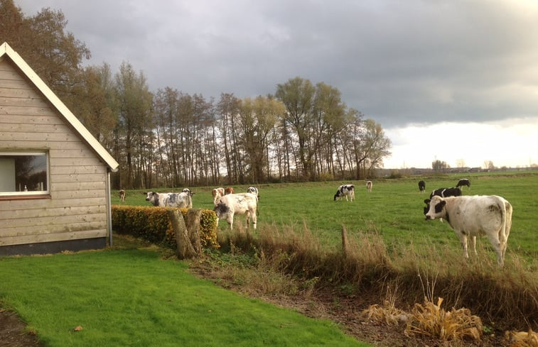 Natuurhuisje in Wapenveld