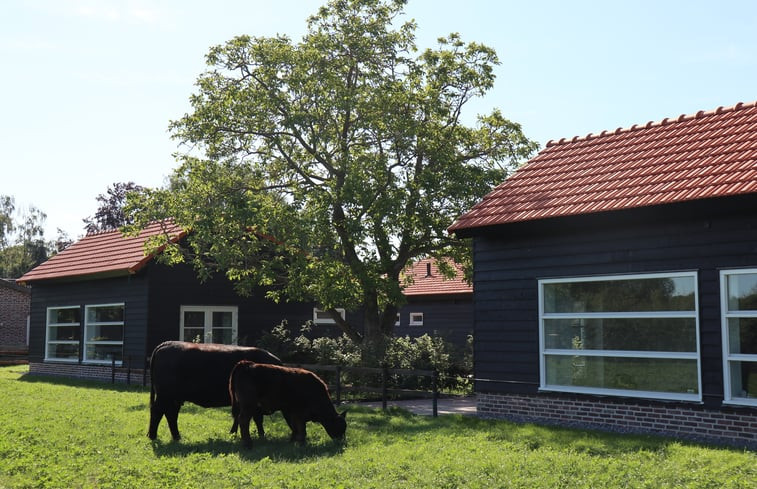 Natuurhuisje in Baexem