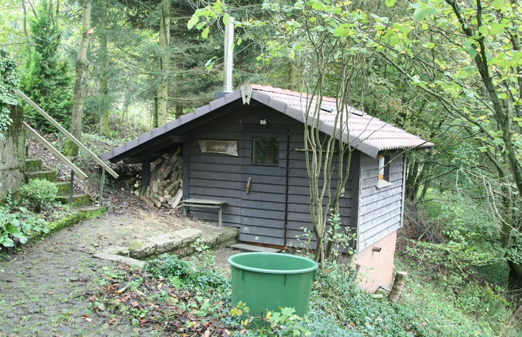 Natuurhuisje in Willingen