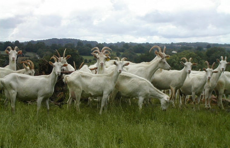 Natuurhuisje in POMPAIRE