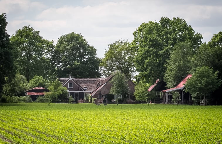 Natuurhuisje in Diever