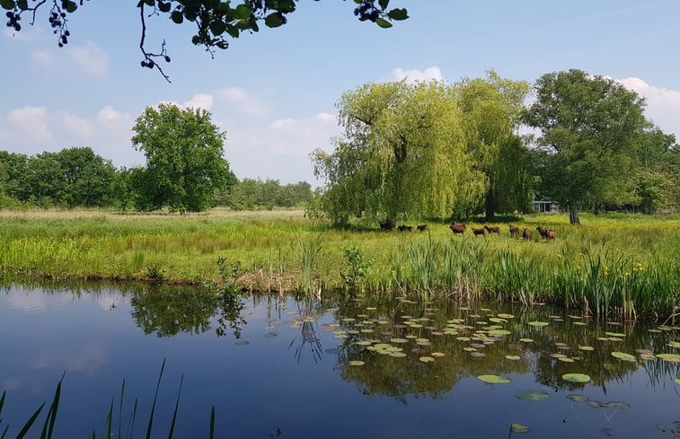 Natuurhuisje in Kortenhoef