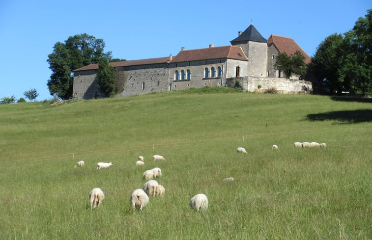 Natuurhuisje in Tourtoirac