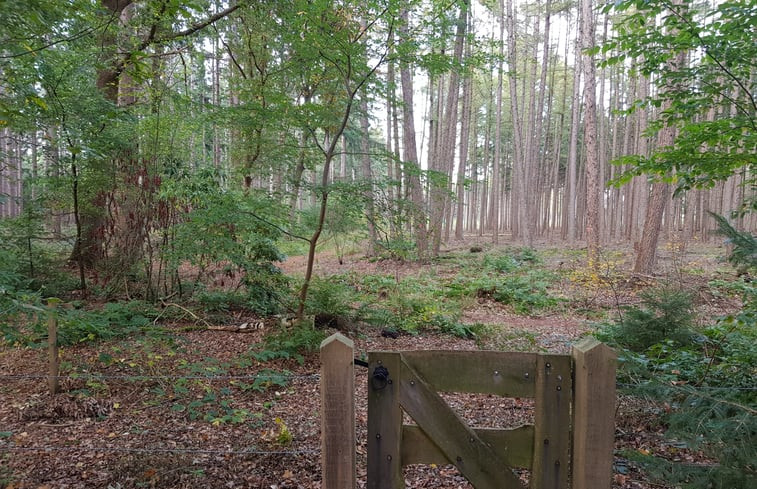 Natuurhuisje in Hellendoorn