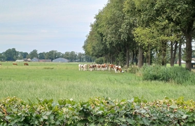 Natuurhuisje in Dalfsen