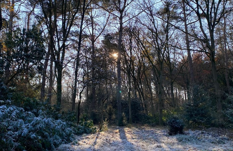 Natuurhuisje in Bergen op Zoom