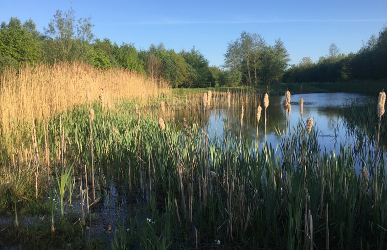 Natuurhuisje in Zuidlaarderveen