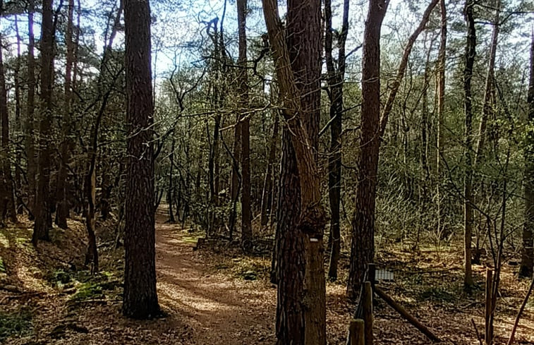 Natuurhuisje in Holten