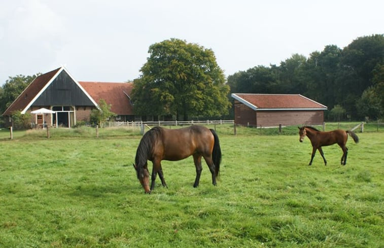 Natuurhuisje in Denekamp